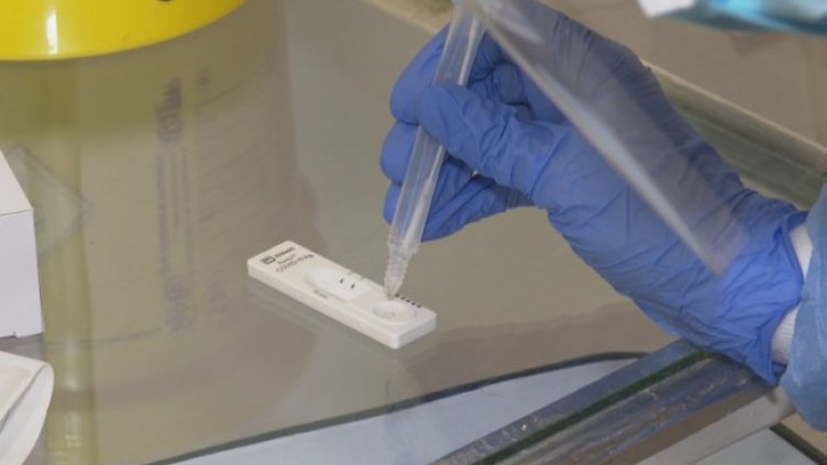 Снимка: БГНЕС