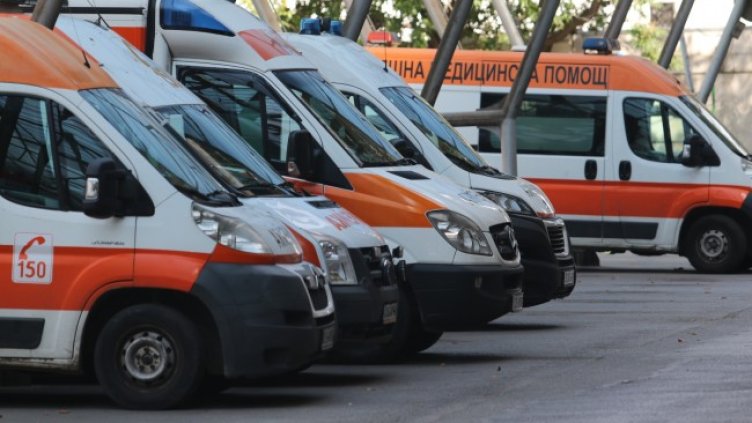 Снимка: архив, БГНЕС