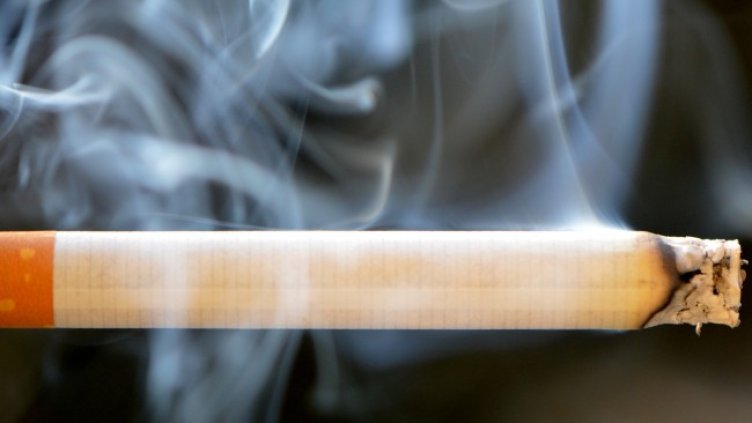 Снимка: Pixabay