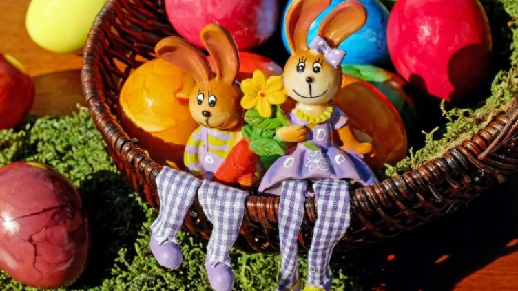 Снимка: Pixabay