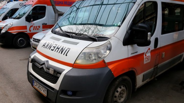 Снимка: архив, БГНЕС