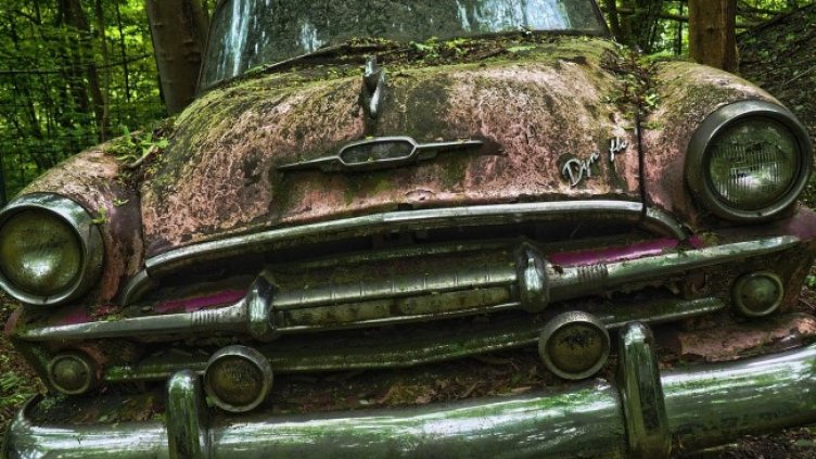 Снимка: Pixabay