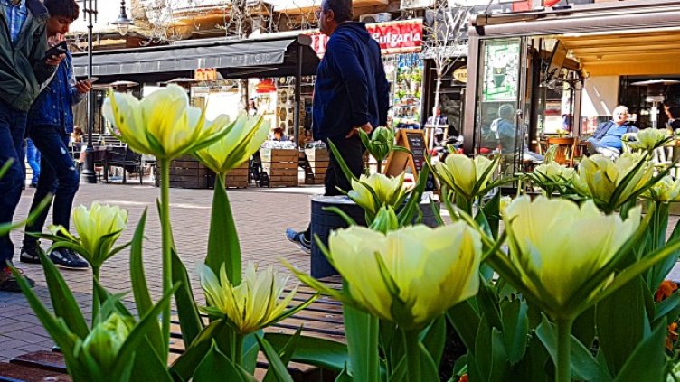 Снимка: БГНЕС