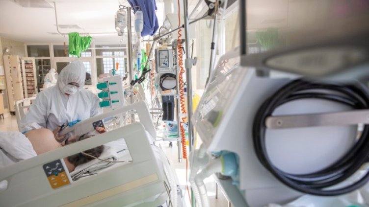 Снимка: БГНЕС