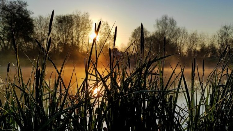 Снимка: архив, БГНЕС