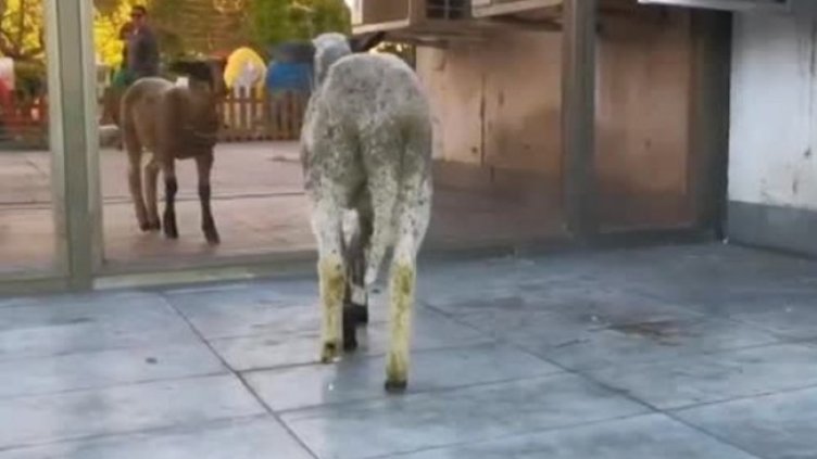 Снимка: Bulgaria ON AIR