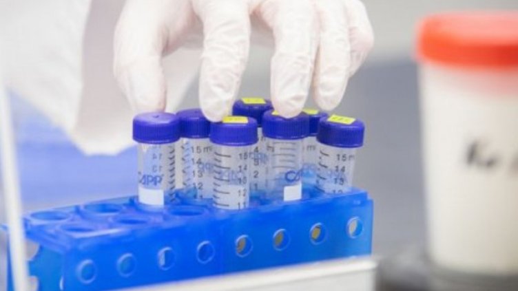 Снимка:Димитър Кьосемарлиев, Dnes.bg