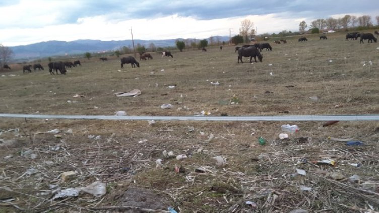 Снимка: Helpbook