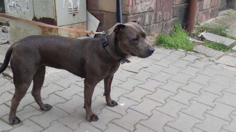 Снимка: Facebook