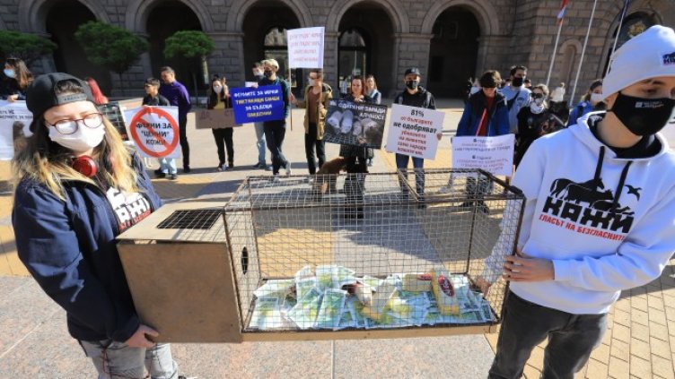 Снимка: БГНЕС