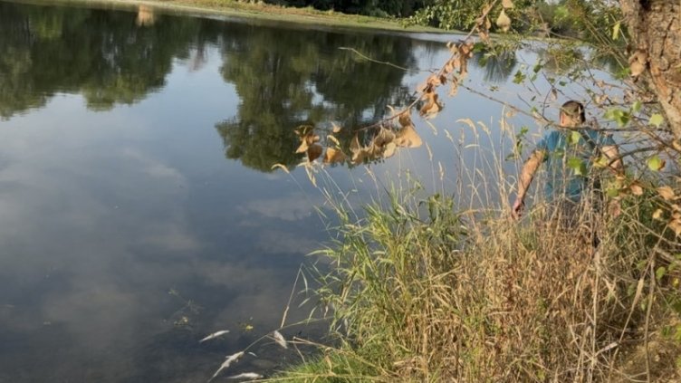 РИОСВ - Пловдив