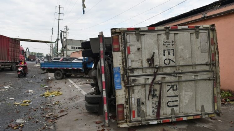 Снимка: архив, БГНЕС