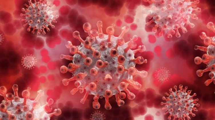 Снимка: Pixabay