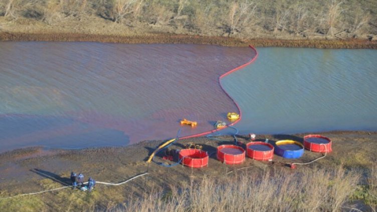 Снимка: архив, БГНЕС