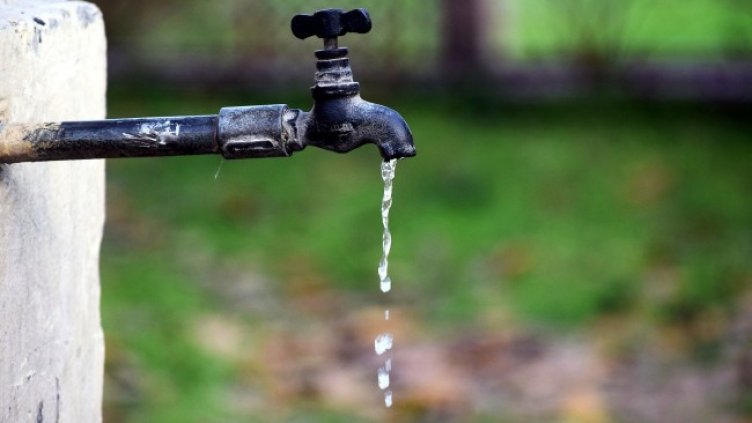 Снимка: Pixabay