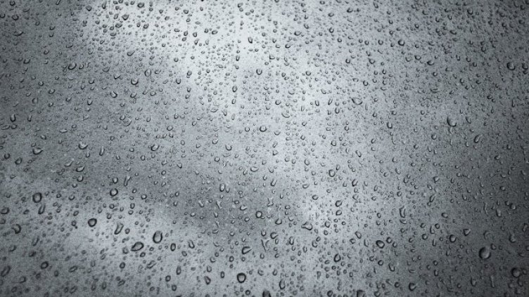 Снимка: Pixabay