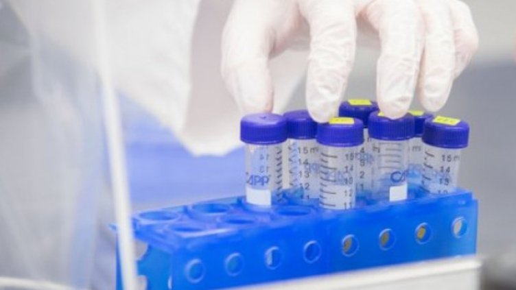 Снимка:Димитър Кьосемарлиев, Dnes.bg