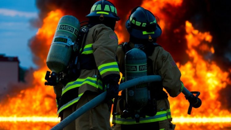 Снимка: Pixabay