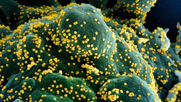 Снимка: архив, БГНЕС