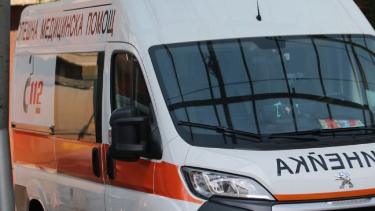 Снимка: архив, БГНЕС