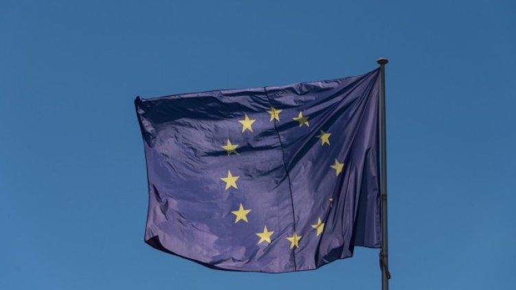 Снимка: архив, БГНЕС