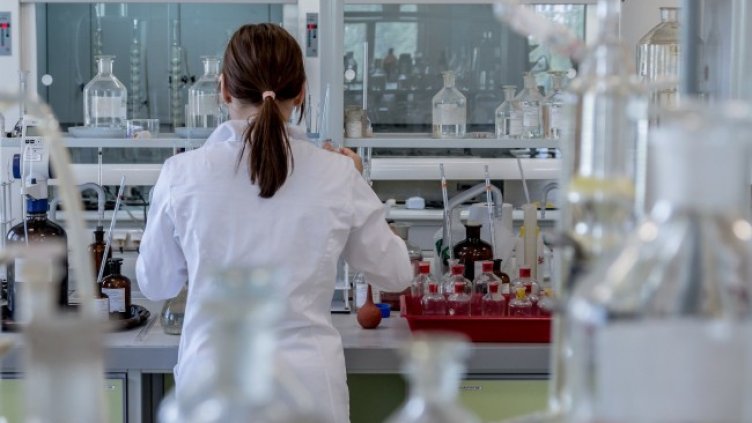 Снимка: Pixabay