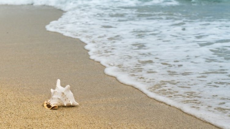 Снимка: Pixabay