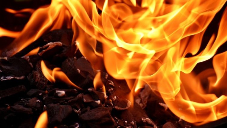 Снимка: Pixabay