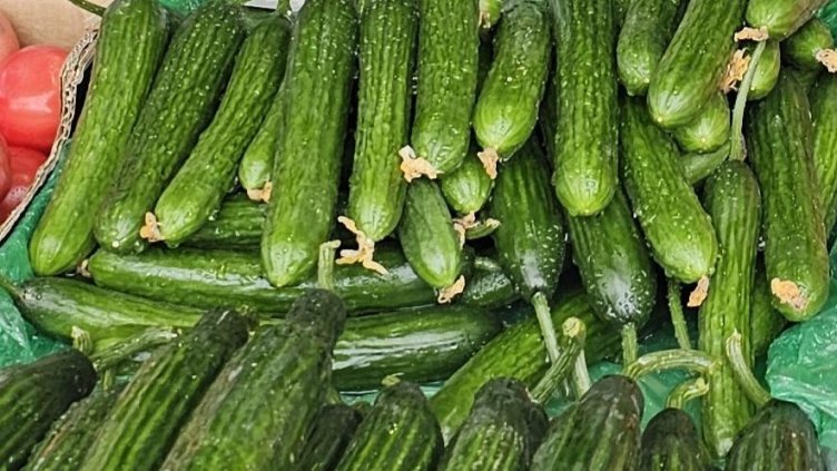 Снимка: архив, БГНЕС