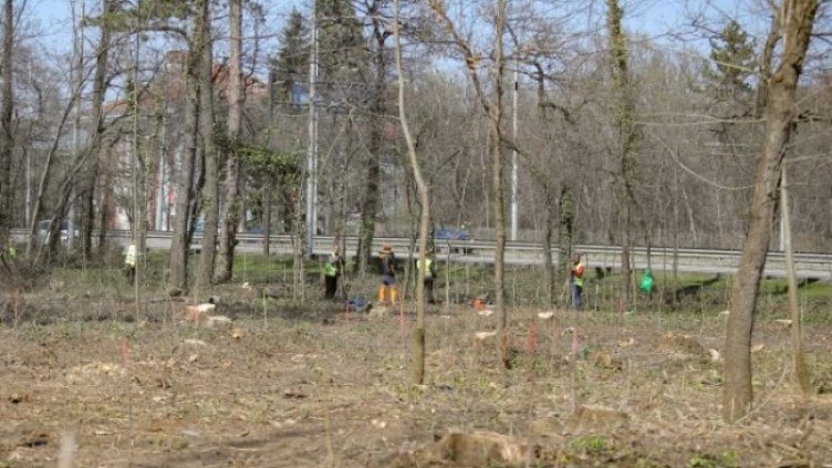 Снимка: Димитър Кьосемарлиев, Dnes.bg