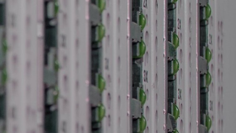 Снимка: Pixabay