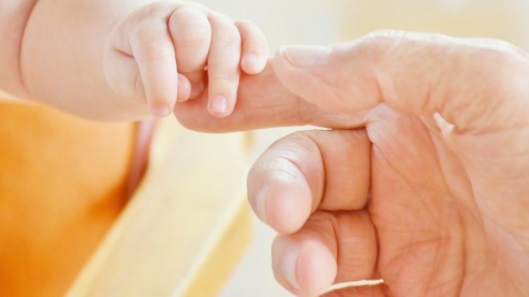 Снимка: Pixabay