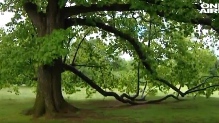 Снимка: Bulgaria ON AIR