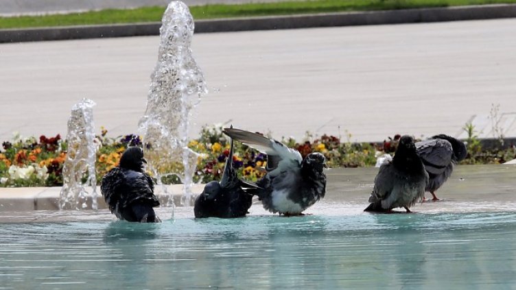 Снимка: архив, БГНЕС