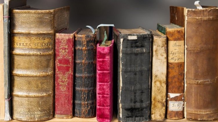 Снимка: Pixabay