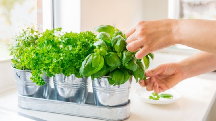 Снимка: istock