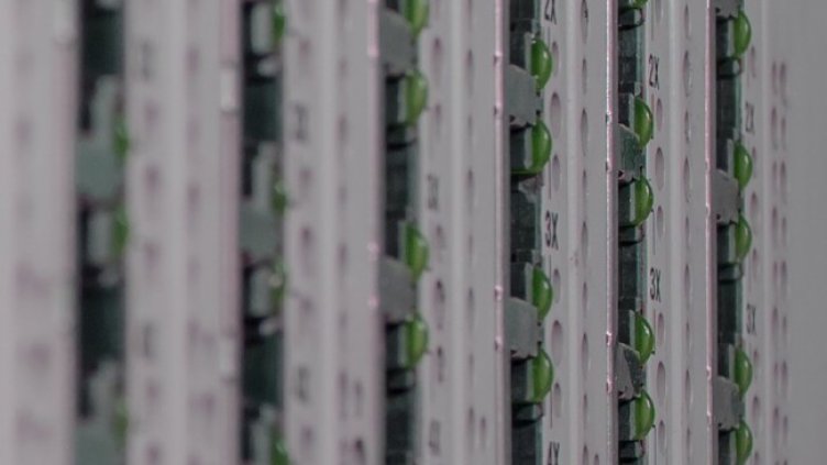 Снимка: Pixabay