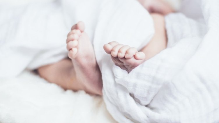 Снимка: Pixabay