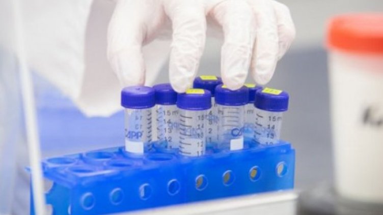 Снимка:Димитър Кьосемарлиев, Dnes.bg