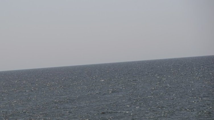 Снимка: архив, БГНЕС