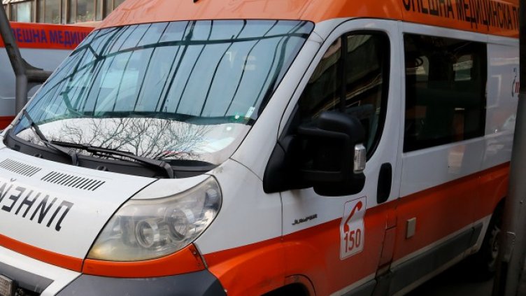 Снимка: архив, БГНЕС