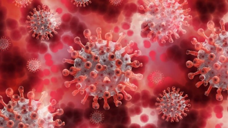 Снимка: Pixabay