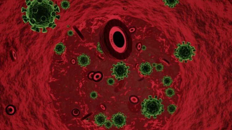 Снимка: Pixabay