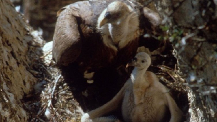 Снимка: БДЗП