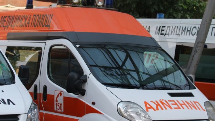 Снимка: архив, БГНЕС