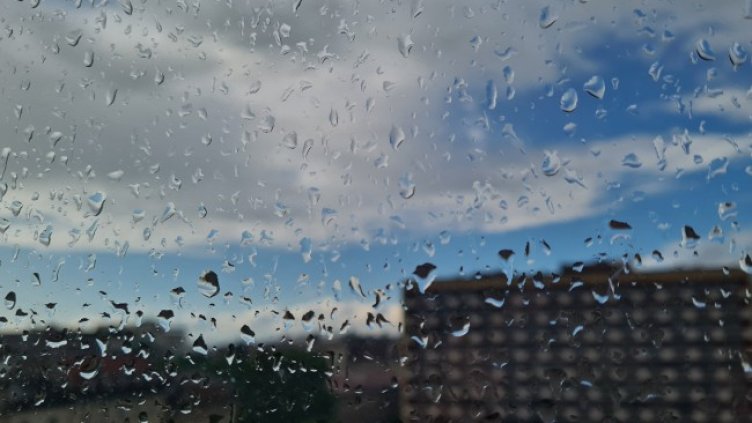 Снимка: архив, БГНЕС