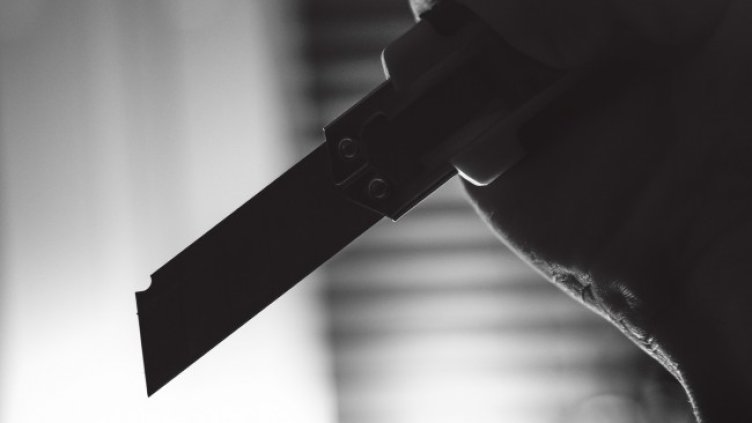 Снимка: Pixabay