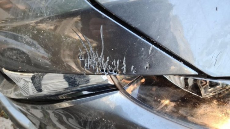 Снимка: Helpbook