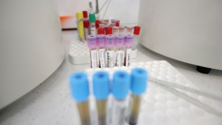 Снимка:Димитър Кьосемарлиев, Dnes.bg