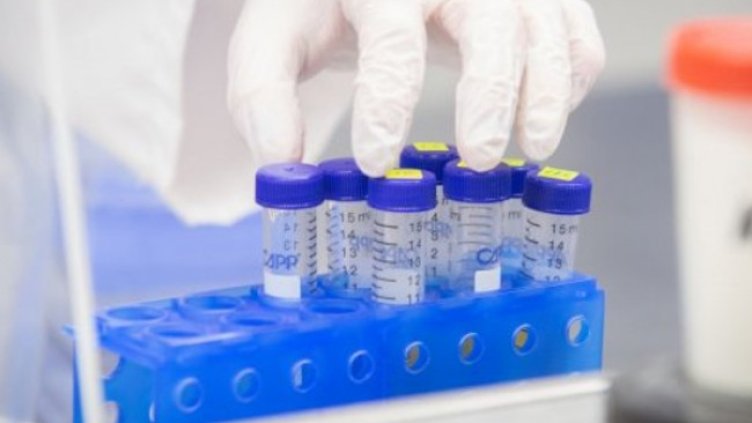 Снимка:Димитър Кьосемарлиев, Dnes.bg